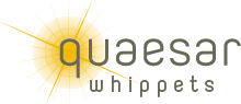 quaesar whippets logo