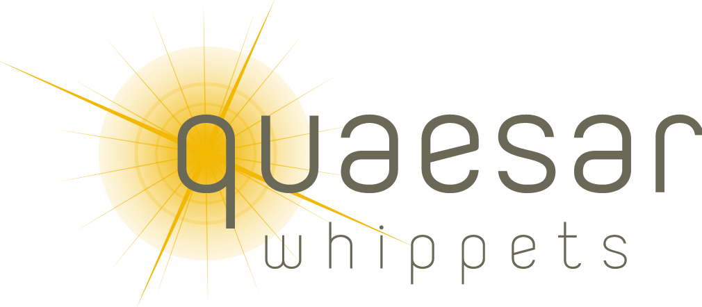 quaesar whippets logo